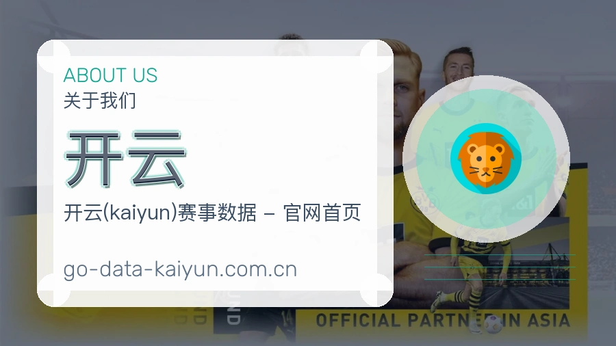 关于开云团队